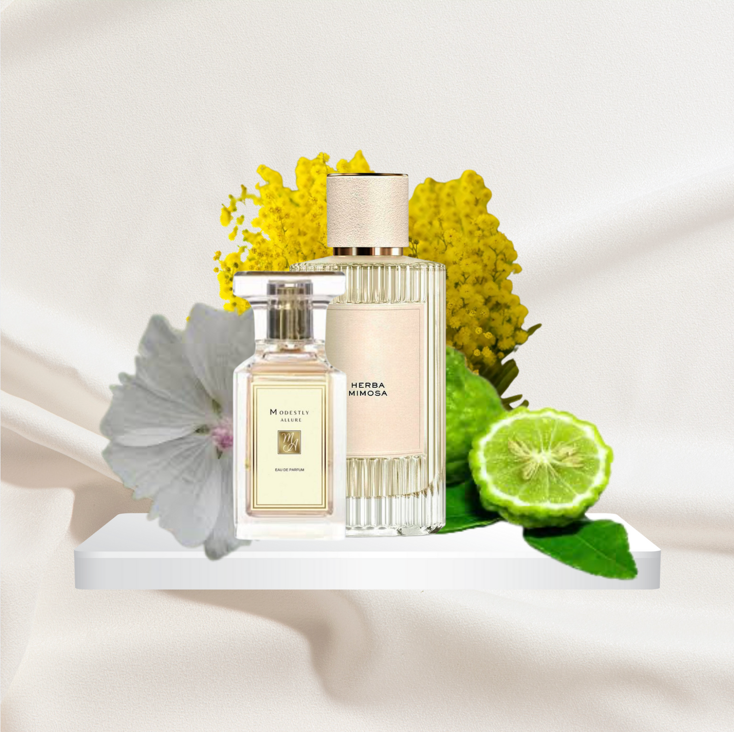 Akin to Chloe - Herba Mimosa